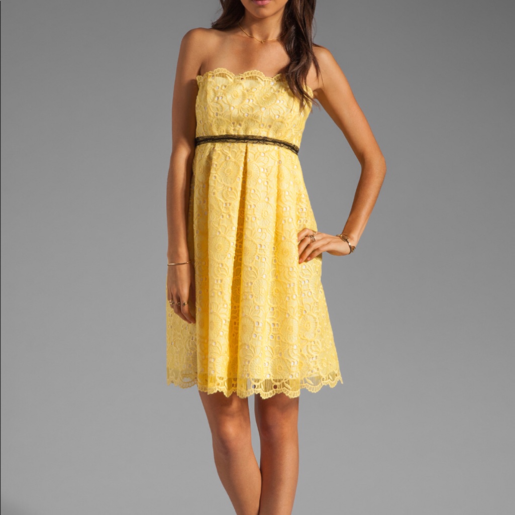 Anna Sui Embroidered Organza Dress Brand New